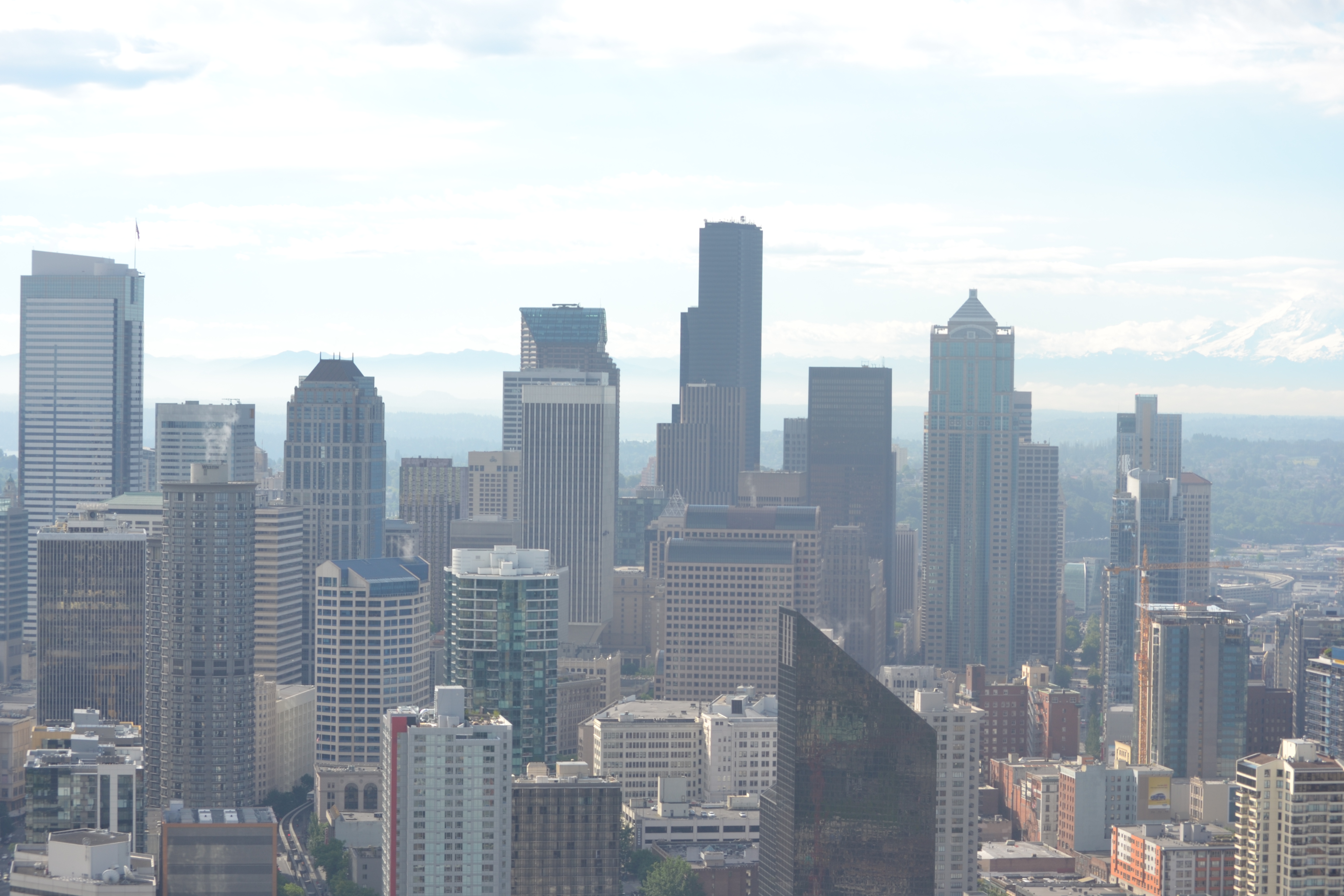 Questa immagine ha l'attributo alt vuoto; il nome del file è dsc_0490.jpg