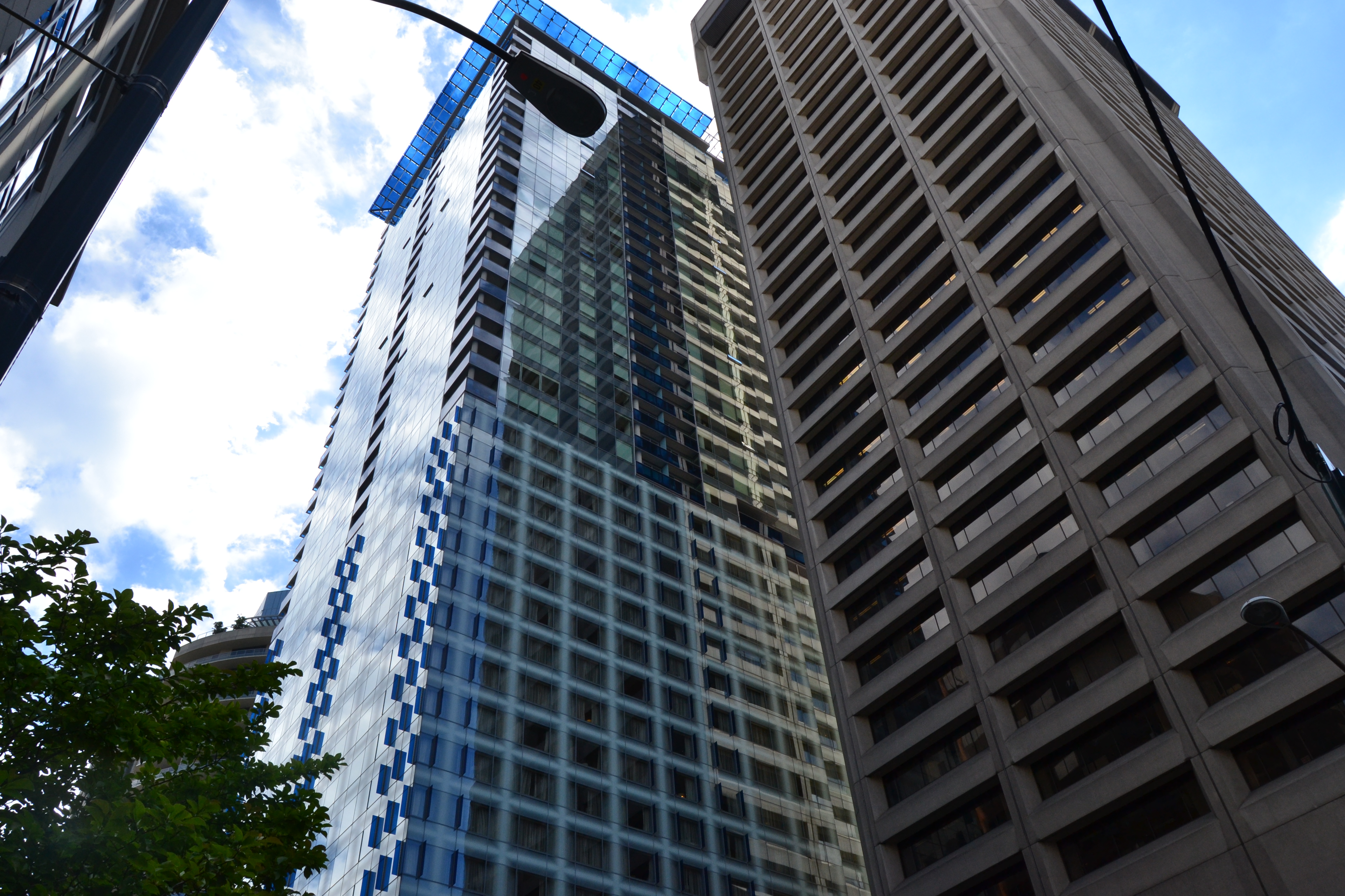 Questa immagine ha l'attributo alt vuoto; il nome del file è dsc_0508.jpg