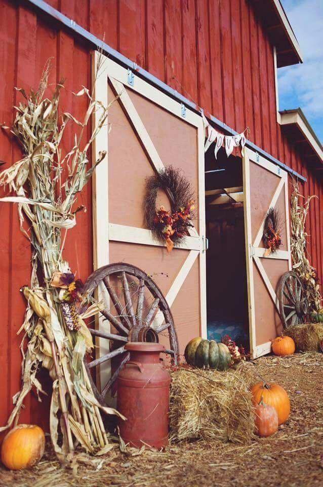 70605329_1410129369150397_5548570169829228544_n