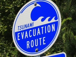 Tsunami-Fears_sham-2-725x543